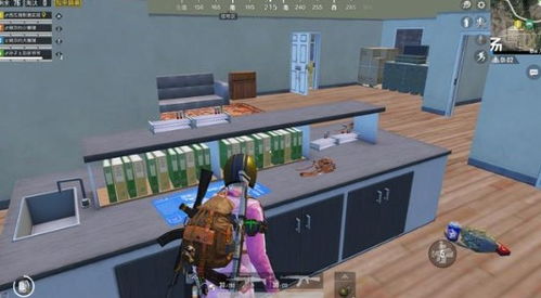 《和平精英》特種裝備刷新地點與獲取攻略